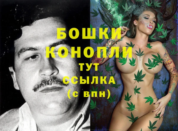 альфа пвп Гусев