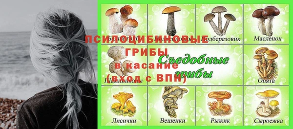 хмурый Горняк