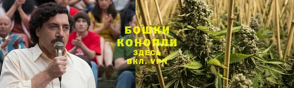 mdpv Гусь-Хрустальный