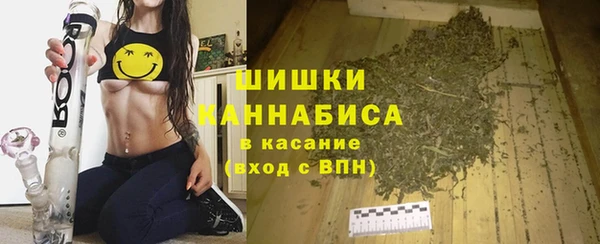 хмурый Горняк