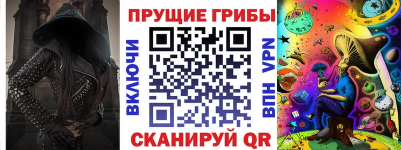 Псилоцибиновые грибы Psilocybe  Дмитров 